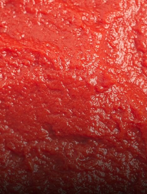 Pastes Purees High Viscosity Products